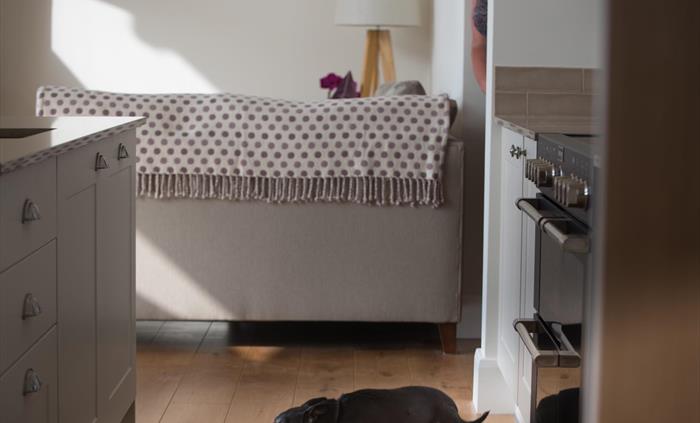 Pets can come too in Shepherd's Rest